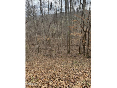 Beautiful lot ready to build your dream home--enjoy the on Buffalo Valley Golf Course in Tennessee - for sale on GolfHomes.com, golf home, golf lot