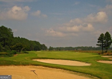 Home sites are almost sold out so don't miss this opportunity to on The Club At Osprey Cove in Georgia - for sale on GolfHomes.com, golf home, golf lot