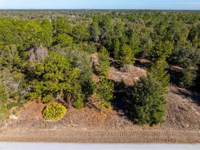 Under contract-accepting backup offers. Buildable vacant lot in on Twisted Oaks Golf Club in Florida - for sale on GolfHomes.com, golf home, golf lot
