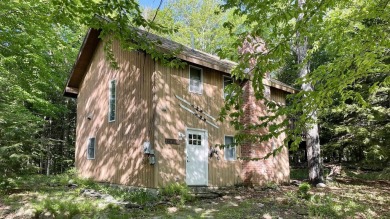 This home is perfect if you like wood.  The lot is loaded with on Hermitage Club Golf Course in Vermont - for sale on GolfHomes.com, golf home, golf lot