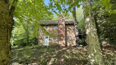 This home is perfect if you like wood.  The lot is loaded with on Hermitage Club Golf Course in Vermont - for sale on GolfHomes.com, golf home, golf lot