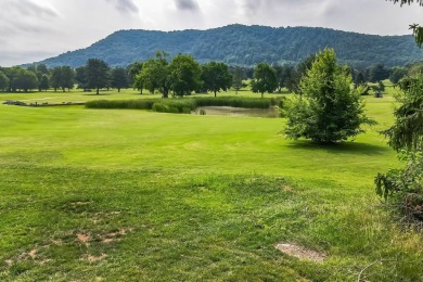 Exclusive Golf Course Adjacent Lot! One of a Kind .92 acre Lot on Clinchview Golf and Country Club in Tennessee - for sale on GolfHomes.com, golf home, golf lot