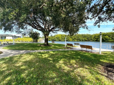 WATERFRONT living at its finest! HIGH & DRY!!! This lovely 2 on Mangrove Bay Golf Course in Florida - for sale on GolfHomes.com, golf home, golf lot