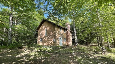 This home is perfect if you like wood.  The lot is loaded with on Hermitage Club Golf Course in Vermont - for sale on GolfHomes.com, golf home, golf lot