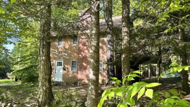 This home is perfect if you like wood.  The lot is loaded with on Hermitage Club Golf Course in Vermont - for sale on GolfHomes.com, golf home, golf lot