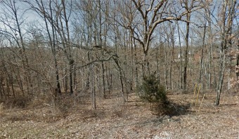 This incredible lot is located just minutes from Lake Loch on Bella Vista Country Club - Scottsdale in Arkansas - for sale on GolfHomes.com, golf home, golf lot
