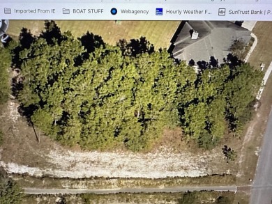 Beautiful .61 acre located adjacent to the #2 T Box Par 3 in on Windswept Dunes Golf Club in Florida - for sale on GolfHomes.com, golf home, golf lot