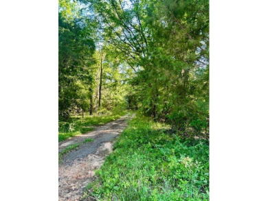 Discover the Perfect Blend of Country Living and City on Robert Trent Jones Golf Trail At Cambrian Ridge in Alabama - for sale on GolfHomes.com, golf home, golf lot