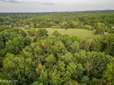 Beautiful wooded 0.28 acre lot ready for building your dream on River Run Golf Club in Tennessee - for sale on GolfHomes.com, golf home, golf lot