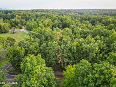 Beautiful wooded 0.28 acre lot ready for building your dream on River Run Golf Club in Tennessee - for sale on GolfHomes.com, golf home, golf lot