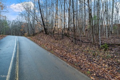 Lot 71 IS THE PERFECT SPOT TO BUILD YOUR NEW HOME!! This gently on Buffalo Valley Golf Course in Tennessee - for sale on GolfHomes.com, golf home, golf lot