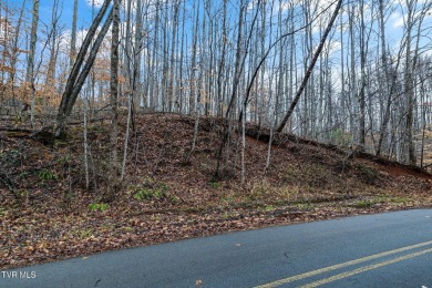 Lot 71 IS THE PERFECT SPOT TO BUILD YOUR NEW HOME!! This gently on Buffalo Valley Golf Course in Tennessee - for sale on GolfHomes.com, golf home, golf lot