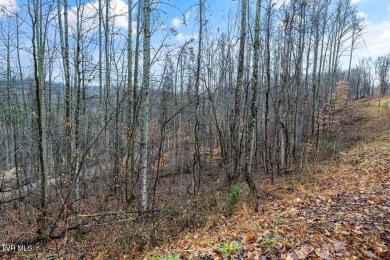 Lot 71 IS THE PERFECT SPOT TO BUILD YOUR NEW HOME!! This gently on Buffalo Valley Golf Course in Tennessee - for sale on GolfHomes.com, golf home, golf lot