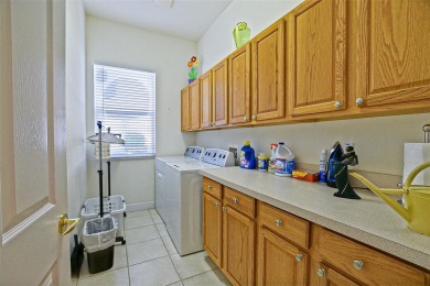 Stunning are the words you will use when you view this beautiful on Eagle Ridge At Spruce Creek Country Club in Florida - for sale on GolfHomes.com, golf home, golf lot