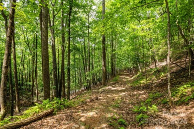 Experience mountain living at its finest in one of the most on High Vista Country Club in North Carolina - for sale on GolfHomes.com, golf home, golf lot