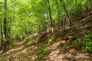 Experience mountain living at its finest in one of the most on High Vista Country Club in North Carolina - for sale on GolfHomes.com, golf home, golf lot