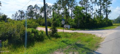High & Dry Lot in Sought-After Sandy Creek Area!Conveniently on Nature Walk Golf Course in Florida - for sale on GolfHomes.com, golf home, golf lot