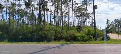 High & Dry Lot in Sought-After Sandy Creek Area!Conveniently on Nature Walk Golf Course in Florida - for sale on GolfHomes.com, golf home, golf lot