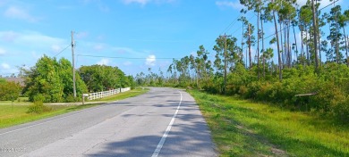 High & Dry Lot in Sought-After Sandy Creek Area!Conveniently on Nature Walk Golf Course in Florida - for sale on GolfHomes.com, golf home, golf lot