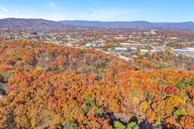 SUPERIOR LOCATION!  52.56 Acres for Sale Zoned R3 (37.34 Acres) on Hunting Hills Country Club in Virginia - for sale on GolfHomes.com, golf home, golf lot