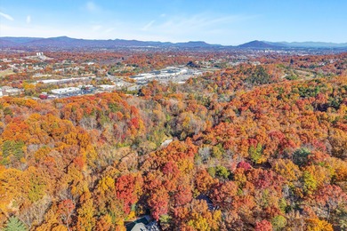 SUPERIOR LOCATION!  52.56 Acres for Sale Zoned R3 (37.34 Acres) on Hunting Hills Country Club in Virginia - for sale on GolfHomes.com, golf home, golf lot