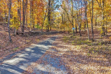 SUPERIOR LOCATION!  52.56 Acres for Sale Zoned R3 (37.34 Acres) on Hunting Hills Country Club in Virginia - for sale on GolfHomes.com, golf home, golf lot