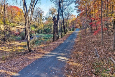 SUPERIOR LOCATION!  52.56 Acres for Sale Zoned R3 (37.34 Acres) on Hunting Hills Country Club in Virginia - for sale on GolfHomes.com, golf home, golf lot