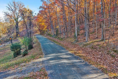 SUPERIOR LOCATION!  52.56 Acres for Sale Zoned R3 (37.34 Acres) on Hunting Hills Country Club in Virginia - for sale on GolfHomes.com, golf home, golf lot