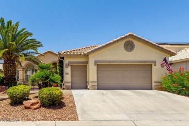 Welcome to luxury living in PebbleCreek, Goodyear's premier 55+ on Tuscany Falls At Pebble Creek in Arizona - for sale on GolfHomes.com, golf home, golf lot
