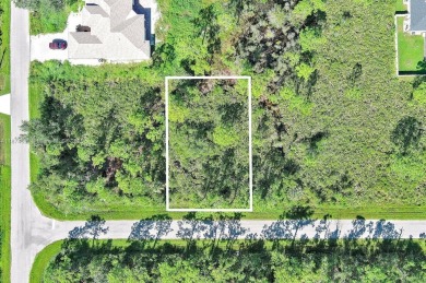 Exclusively presented by Sunland Real Estate: Build your dream on Sabal Trace Golf and Country Club in Florida - for sale on GolfHomes.com, golf home, golf lot