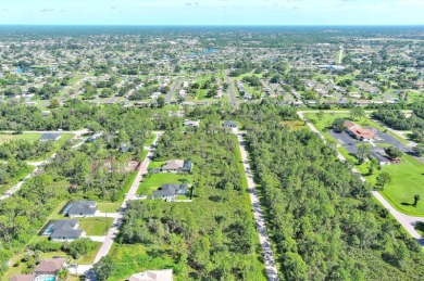Exclusively presented by Sunland Real Estate: Build your dream on Sabal Trace Golf and Country Club in Florida - for sale on GolfHomes.com, golf home, golf lot