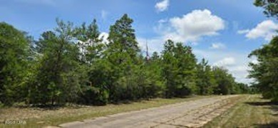 Discover the perfect spot to build your dream home on this 0 on Sunny Hills Golf and Country Club in Florida - for sale on GolfHomes.com, golf home, golf lot
