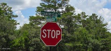 Discover the perfect spot to build your dream home on this 0 on Sunny Hills Golf and Country Club in Florida - for sale on GolfHomes.com, golf home, golf lot