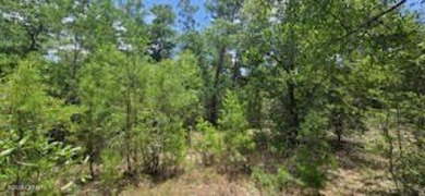 Discover the perfect spot to build your dream home on this 0 on Sunny Hills Golf and Country Club in Florida - for sale on GolfHomes.com, golf home, golf lot