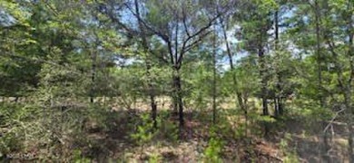Discover the perfect spot to build your dream home on this 0 on Sunny Hills Golf and Country Club in Florida - for sale on GolfHomes.com, golf home, golf lot
