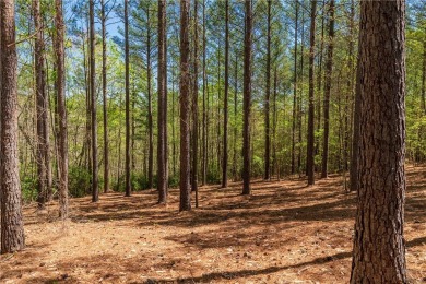 Welcome to Canebrake, the newest section of lots in The Cliffs on The Cliffs At Keowee Falls in South Carolina - for sale on GolfHomes.com, golf home, golf lot