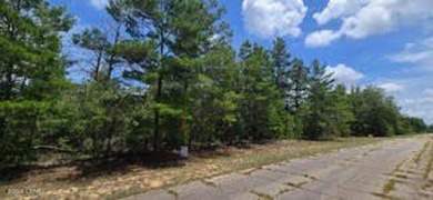 Discover the perfect spot to build your dream home on this 0 on Sunny Hills Golf and Country Club in Florida - for sale on GolfHomes.com, golf home, golf lot