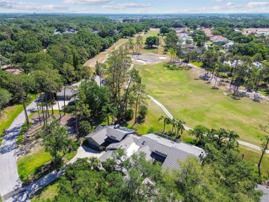 Experience TURN KEY LIVING and live the RESORT LIFESTYLE at 5434 on Saddlebrook Golf and Country Club in Florida - for sale on GolfHomes.com, golf home, golf lot
