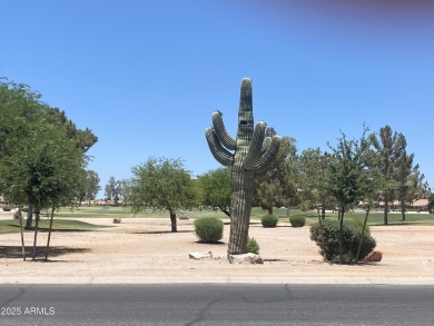 Discover this well loved, 2BR, 2BA plus DEN home in the on Palo Verde Golf and Country Club in Arizona - for sale on GolfHomes.com, golf home, golf lot