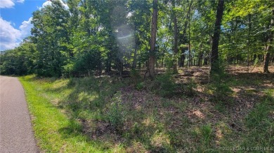 Imagine waking up to serene golf course views every day! This on The Club At Porto Cima in Missouri - for sale on GolfHomes.com, golf home, golf lot