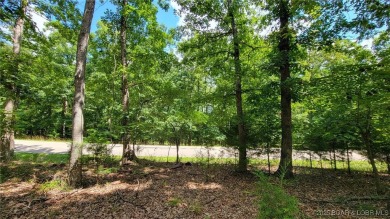 Imagine waking up to serene golf course views every day! This on The Club At Porto Cima in Missouri - for sale on GolfHomes.com, golf home, golf lot