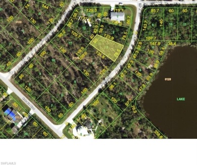 Build your Florida dream home in Tropical Gulf Acres, a peaceful on Seminole Lakes Country Club in Florida - for sale on GolfHomes.com, golf home, golf lot