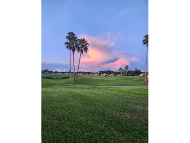 Looking for a STUNNING GOLF COURSE VIEW in a 55+ Gated on Eagle Ridge At Spruce Creek Country Club in Florida - for sale on GolfHomes.com, golf home, golf lot