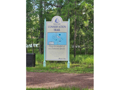 Looking for a STUNNING GOLF COURSE VIEW in a 55+ Gated on Eagle Ridge At Spruce Creek Country Club in Florida - for sale on GolfHomes.com, golf home, golf lot