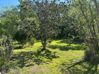 Welcome to this charming 3 bedroom, 2 bath Palm Harbor home on St. Johns Golf Club in Florida - for sale on GolfHomes.com, golf home, golf lot