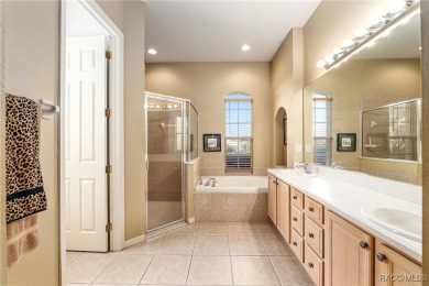 Welcome to your dream home in the heart of Terra Vista, one of on Skyview At Terra Vista Golf and Country Club in Florida - for sale on GolfHomes.com, golf home, golf lot