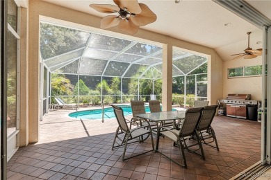 Welcome to your dream home in the heart of Terra Vista, one of on Skyview At Terra Vista Golf and Country Club in Florida - for sale on GolfHomes.com, golf home, golf lot