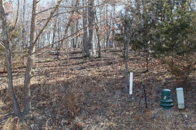 This property features 2 combined lots, creating a spacious on The Club At Porto Cima in Missouri - for sale on GolfHomes.com, golf home, golf lot