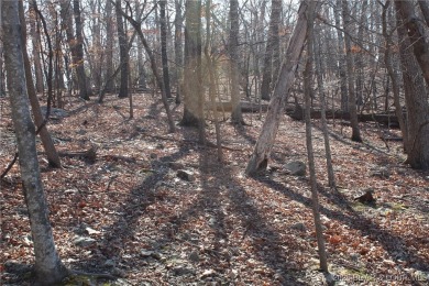 This property features 2 combined lots, creating a spacious on The Club At Porto Cima in Missouri - for sale on GolfHomes.com, golf home, golf lot