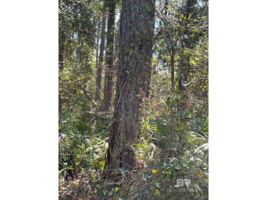 Beautiful wooded lot located on Dauphin Island near the Gulf of on Isle Dauphine Club Golf Course in Alabama - for sale on GolfHomes.com, golf home, golf lot